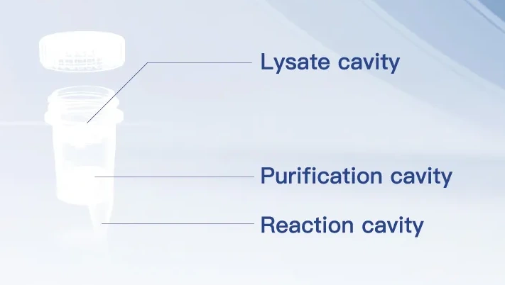 Cowin Gene NATBox cartridge — three-cavity sample-to-answer architecture: lysate, purification, and reaction chambers